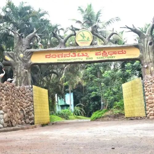Ranganathittu Bird Sanctuary on Mysore route